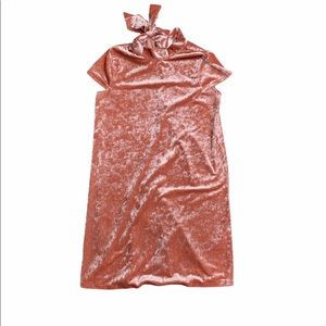 Madewell Crushed Velvet mock neck dress